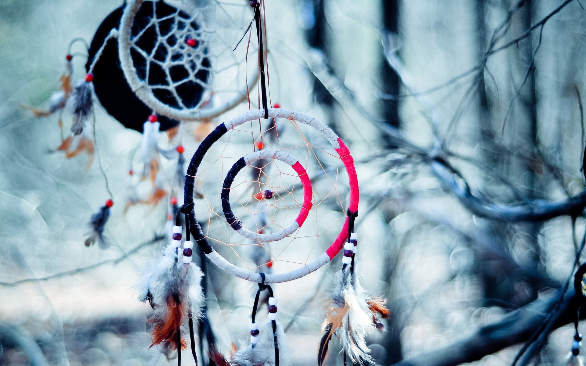 dream catcher bokeh branche