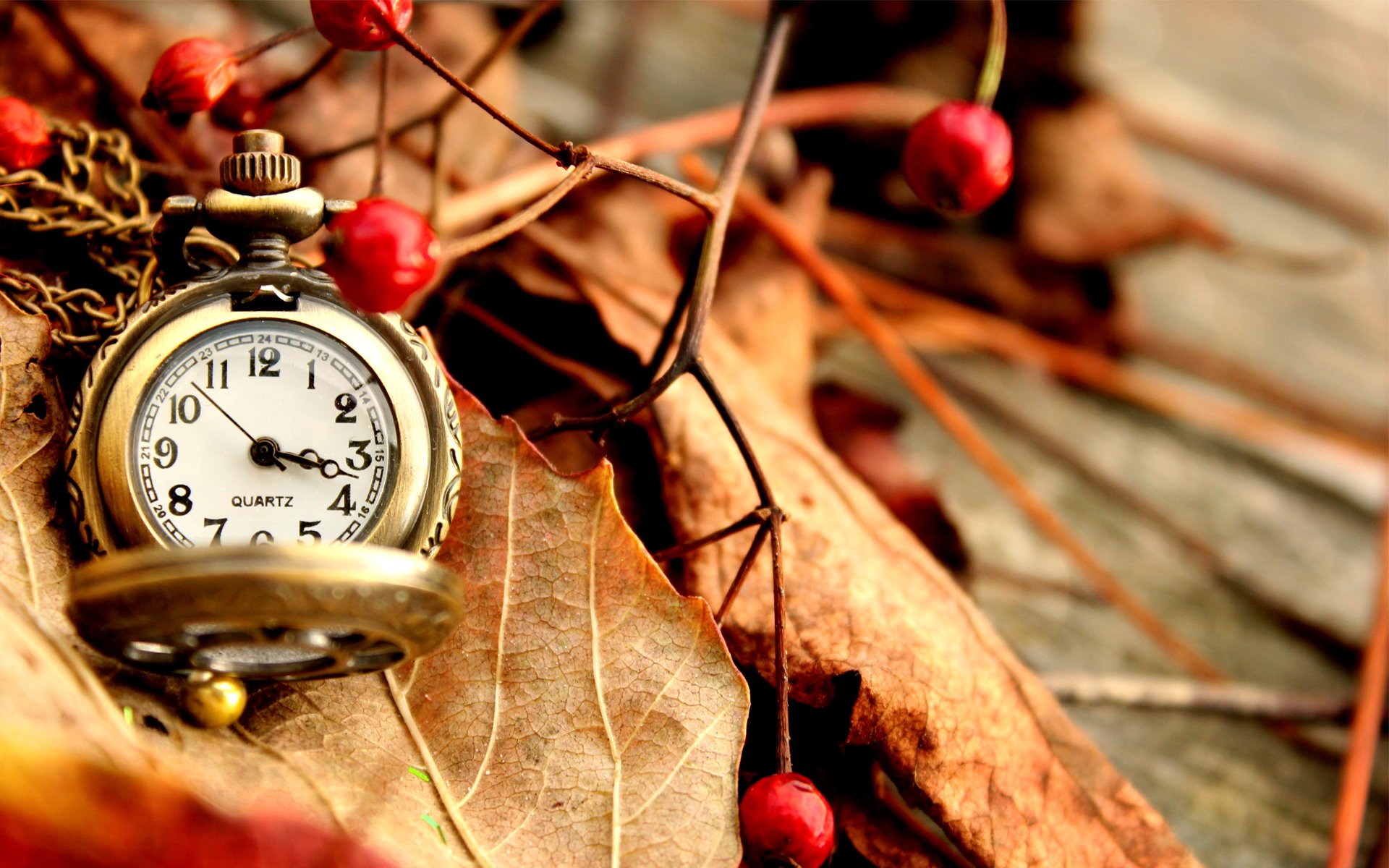 montre poche automne feuilles baies rouge sec