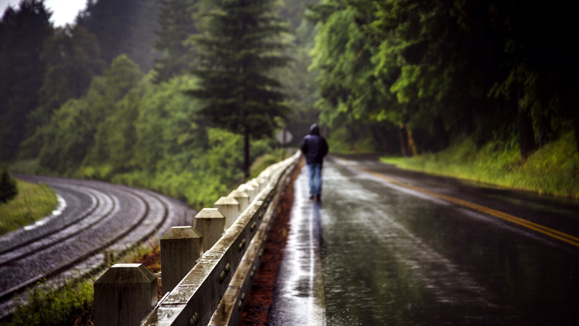 road fence rain