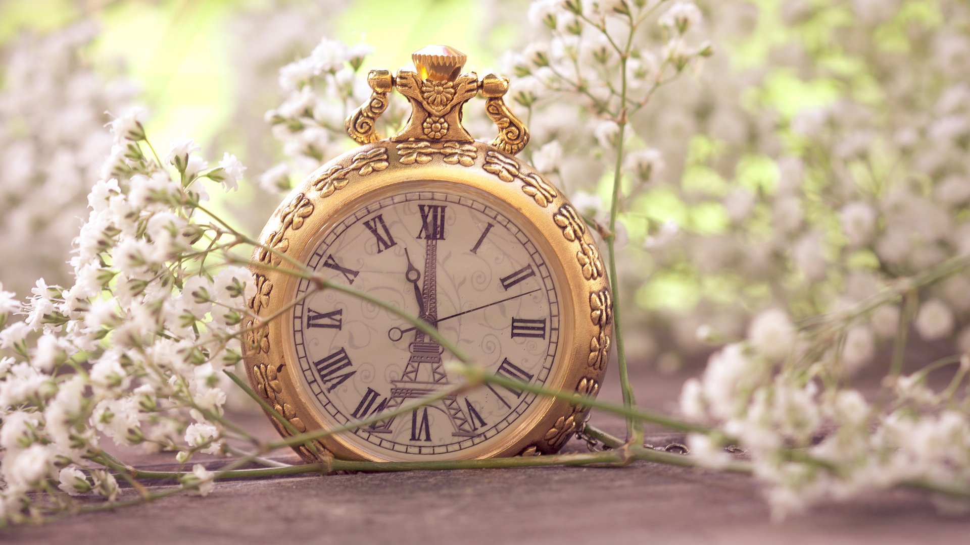 close up flower small white watches pocket eiffel tower pari