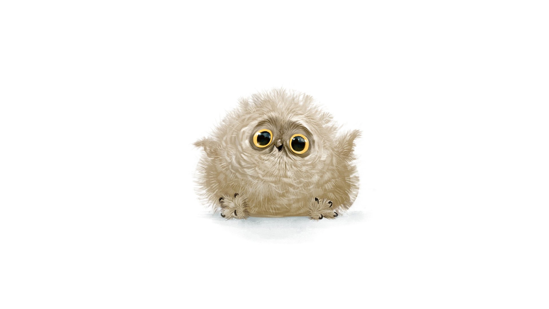 hibou mignon vue joie plumes fond blanc