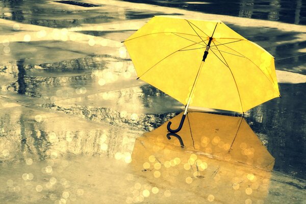 Красивый желтый зонт отражается в луже