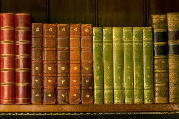 Scaffale con Libri in un antica biblioteca