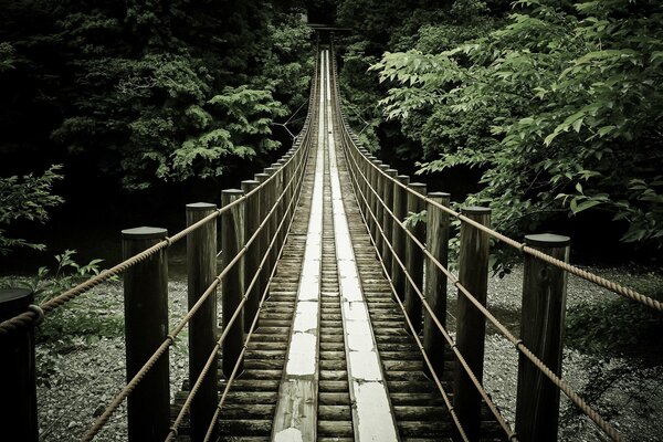 Bridge over the river into the distance the way to nature