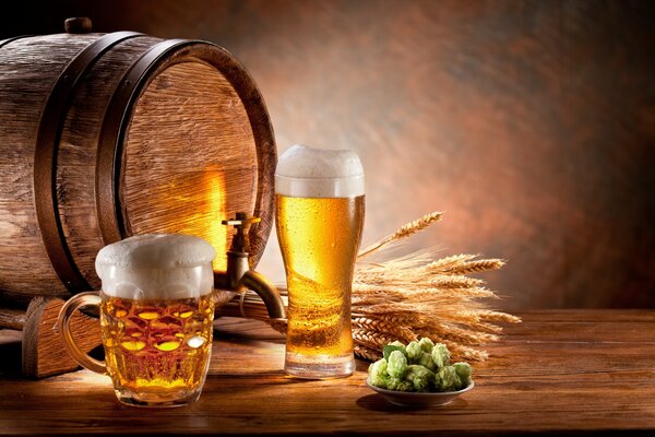 Foamy beer in a glass and mug, a keg of beer. rye and hops