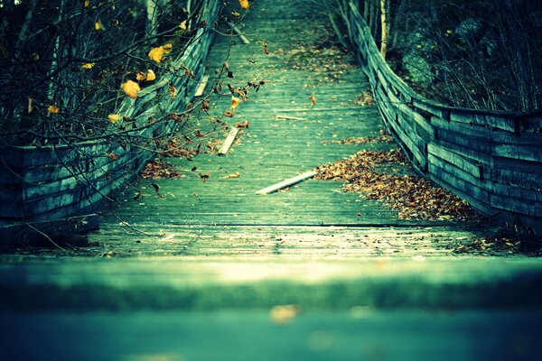 Pont en bois avec des feuilles sèches