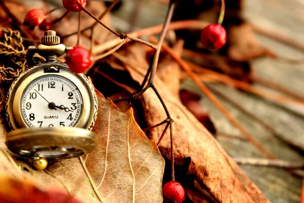 Taschenuhr auf Herbstlaub Hintergrund