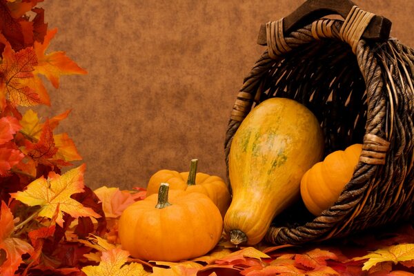 A basket with a pumpkin lies on the leaves on an autumn background
