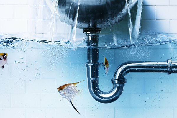 Creative image on the topic of wastewater treatment