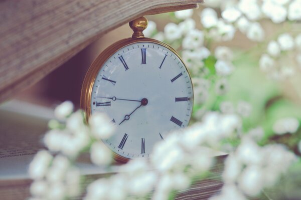 Reloj de bolsillo en un libro con flores