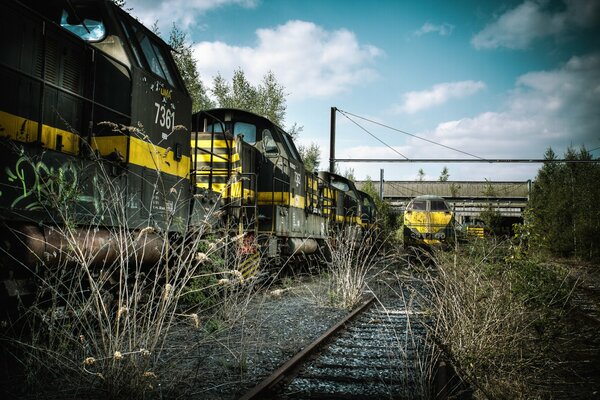 Le train Monte sur les rails à travers l herbe sèche