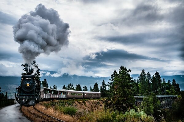 A steam locomotive traveling by rail in the forest with smoke coming from the chimney