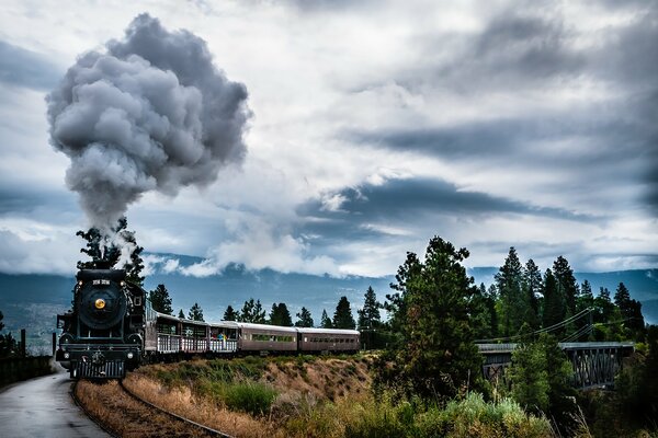 Una locomotiva a vapore che viaggia su una ferrovia nella foresta che ha fumo dal camino