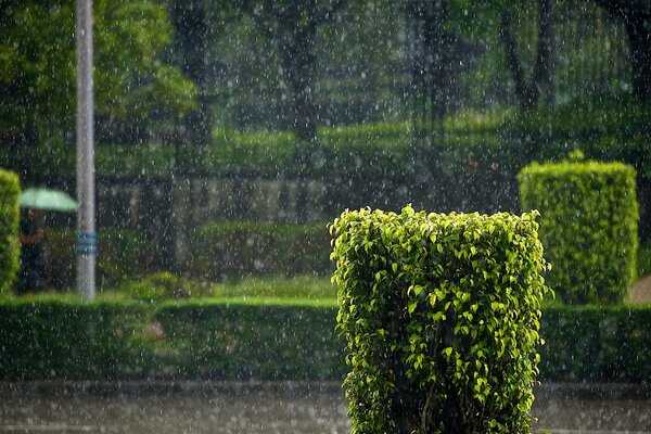 Incredibly beautiful, rainy landscape