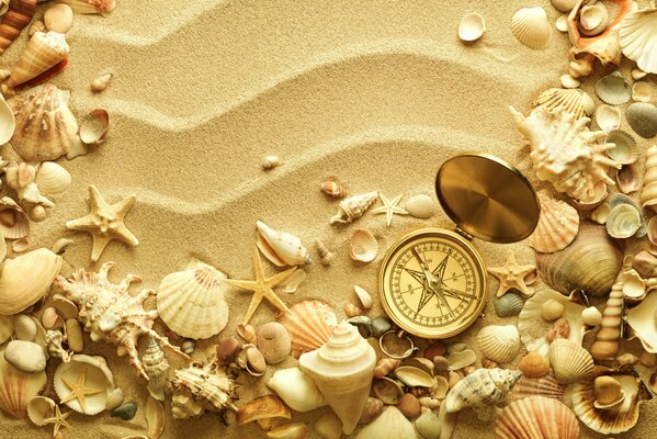 Immagine di stelle marine sulla sabbia