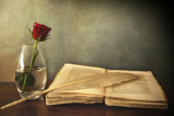 Image sur la table est un livre avec une plume et un vase avec une rose