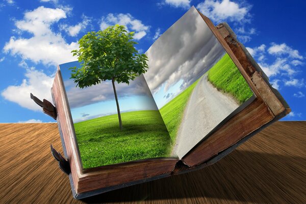 The tree and the road on the pages of the book