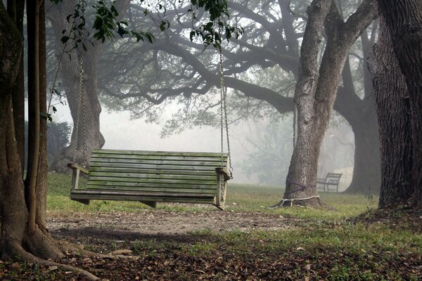 Schaukeln auf Seilen im alten Park