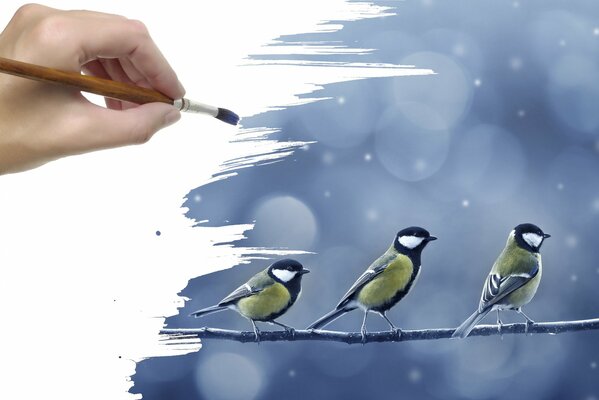 Красивые птички , нарисованные рукой мастера