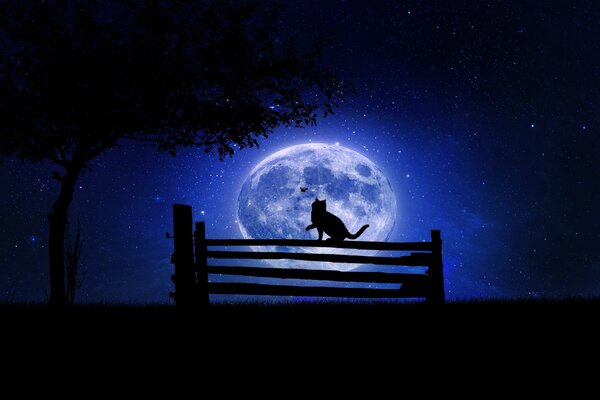 In the moonlight, a cat catches prey