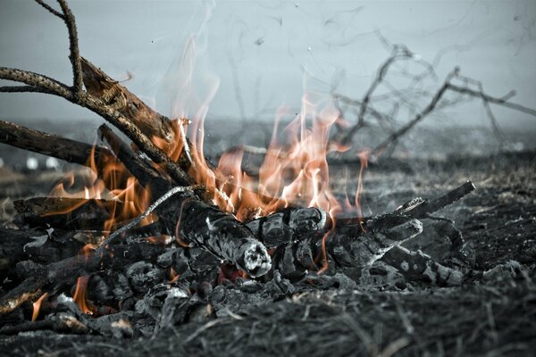 A fire with smoldering embers and branches