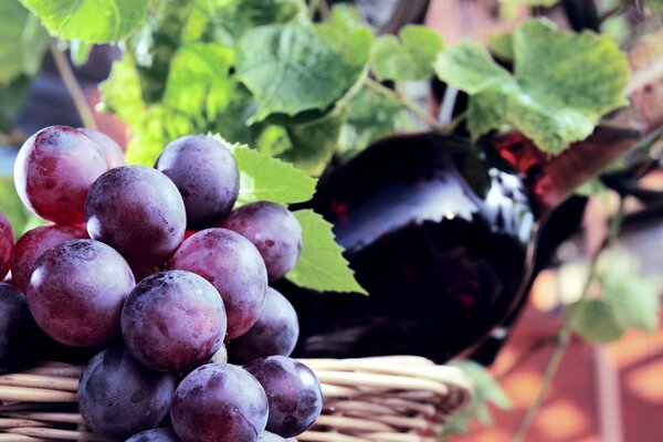 Un racimo de uvas junto con vino tinto en una botella