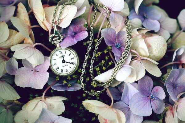 Pocket watch on a background of lilac flowers