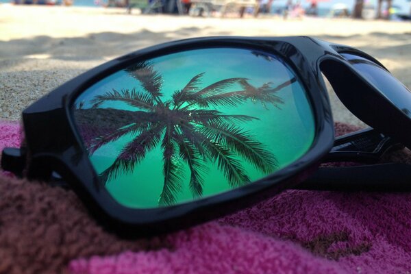 Die Brille spiegelt den Himmel und die Palme am Strand wider