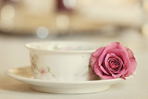 Tasse et soucoupe élégantes avec rose vivante