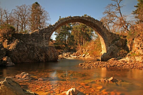 Ponte di pietra sul fiume Forest