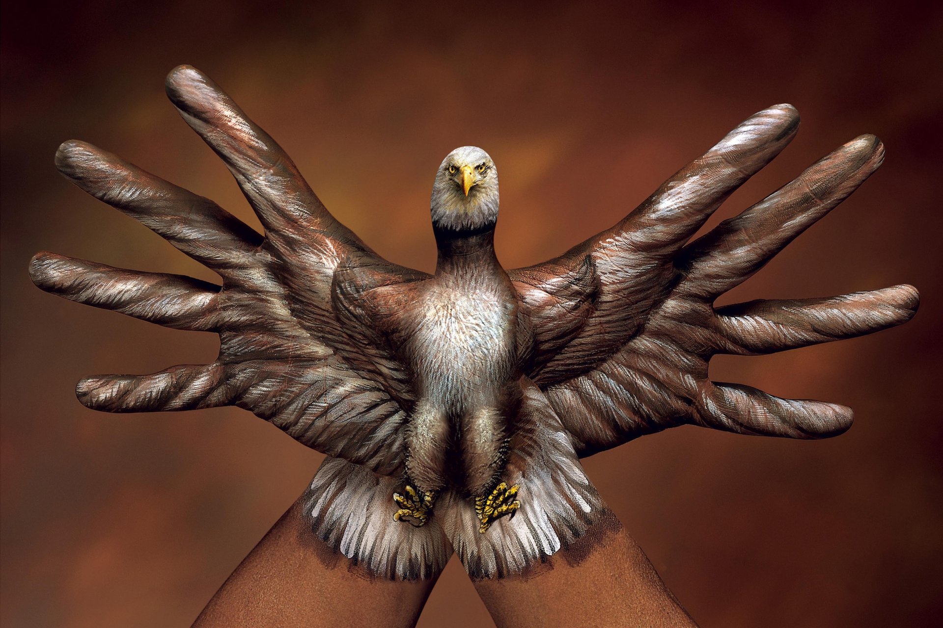 pájaro mano creativo italiano artista guido daniele guido daniel dedos mano fondo de pantalla