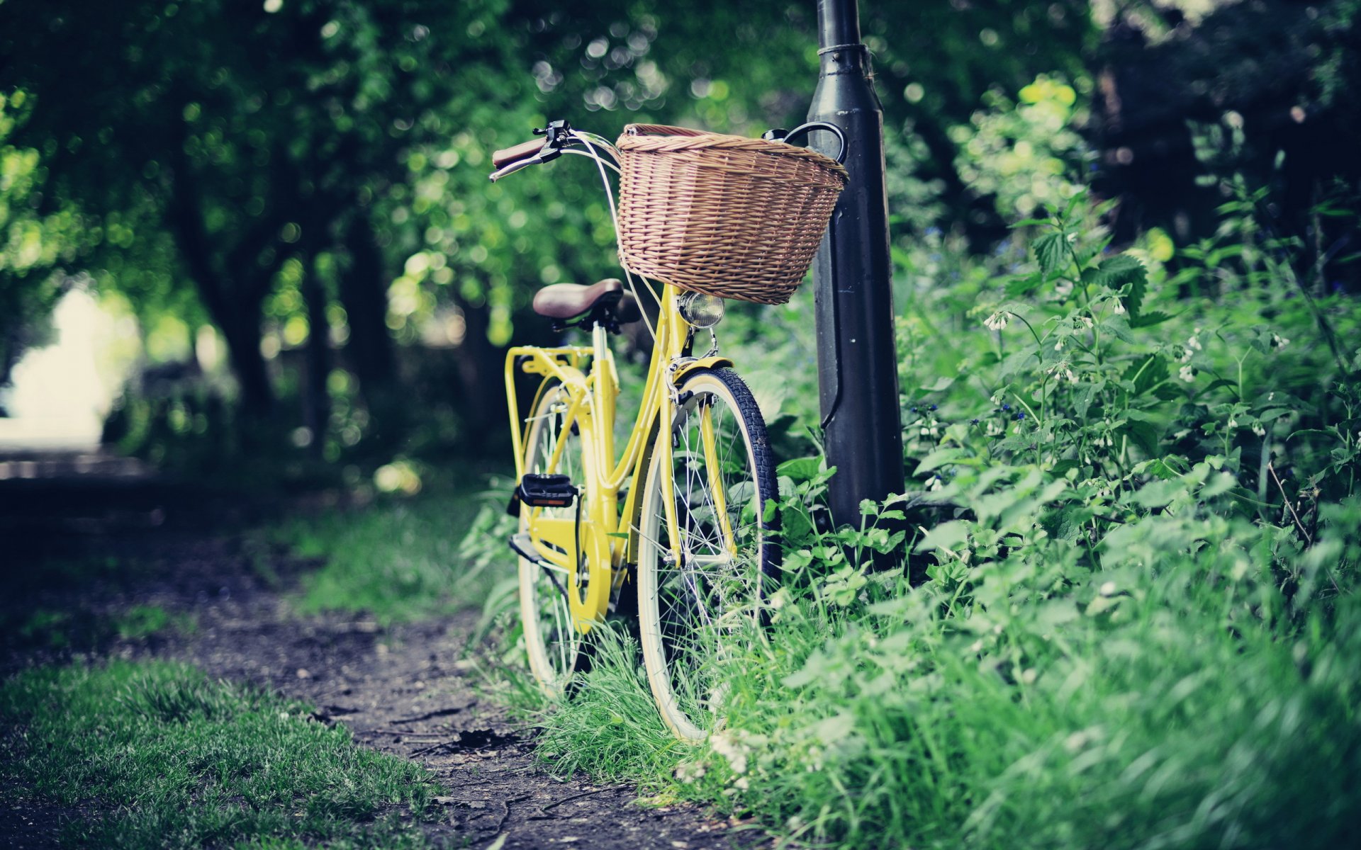 straße fahrrad park