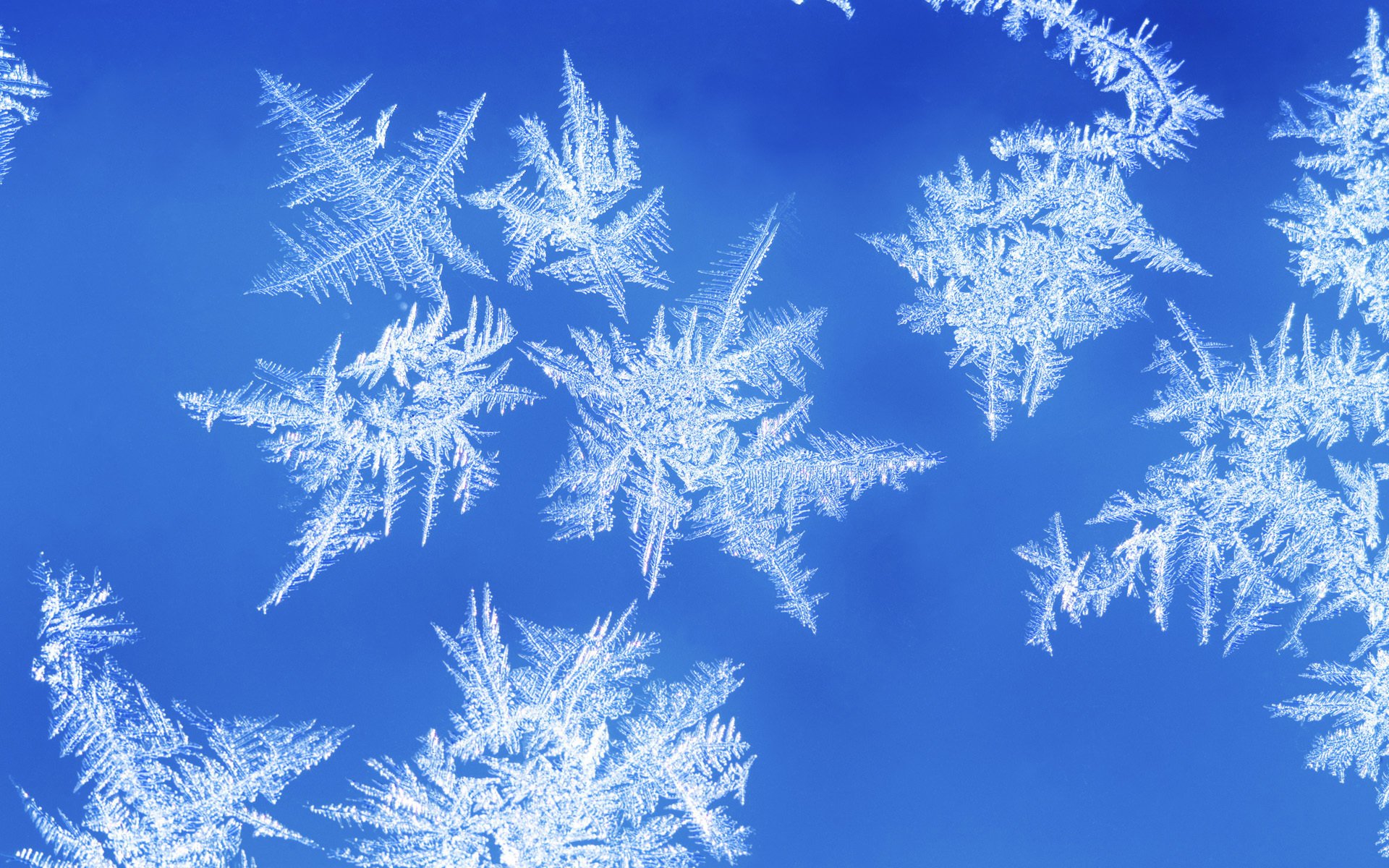 copos de nieve escarcha patrón ventana escarcha invierno