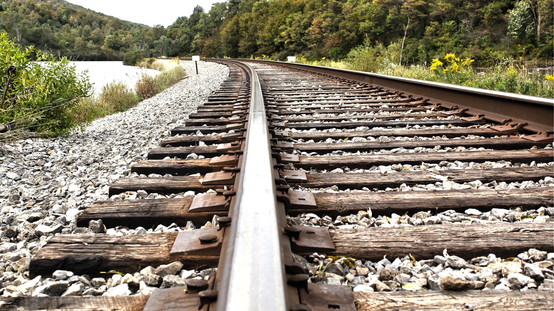 macro railway rails nature forest trees stones macro railway 1920x1080