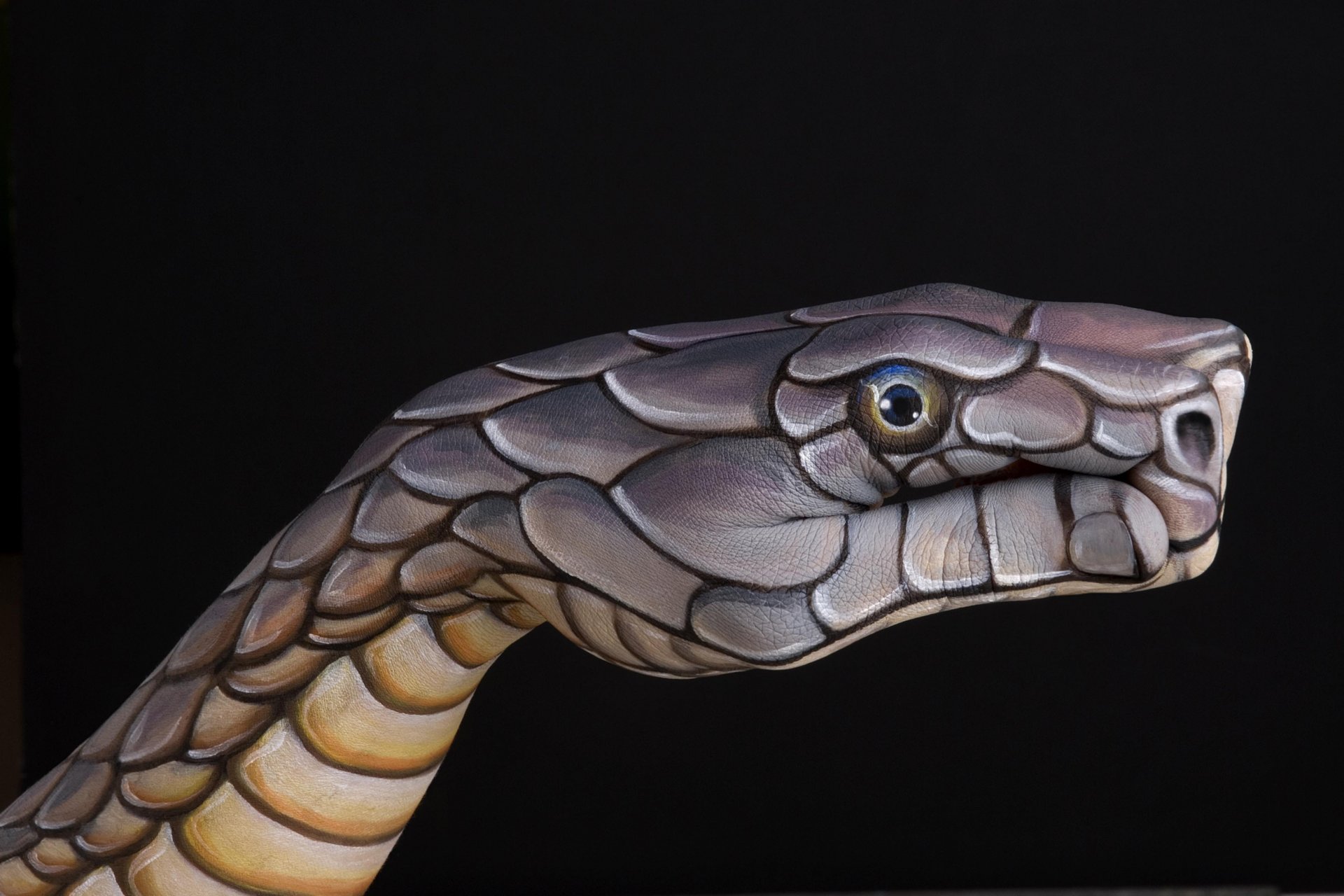 serpente fatto a mano creativo italiano artista guido daniele guido daniel dita mano carta da parati