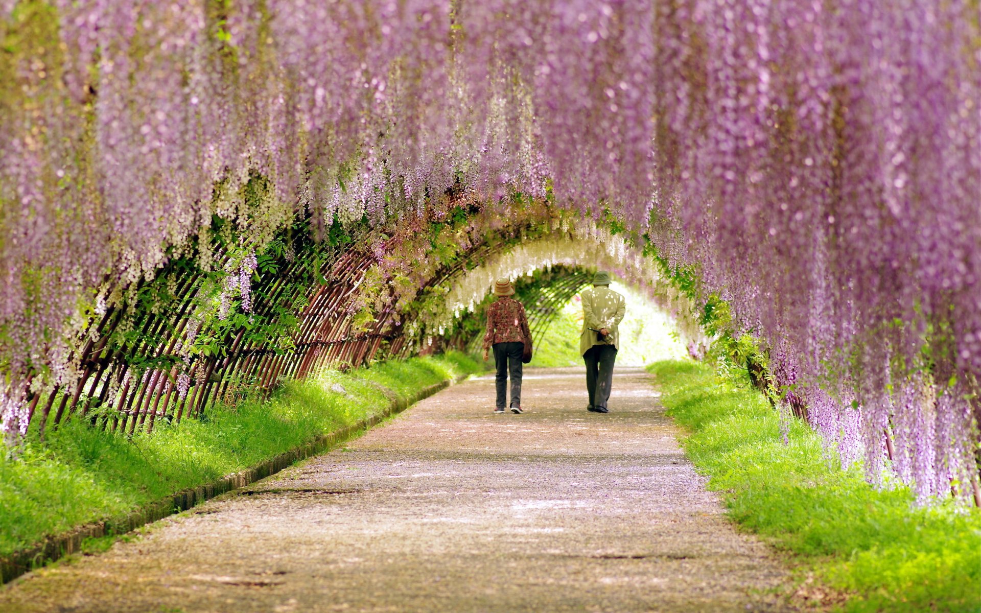 parco strada passeggiata