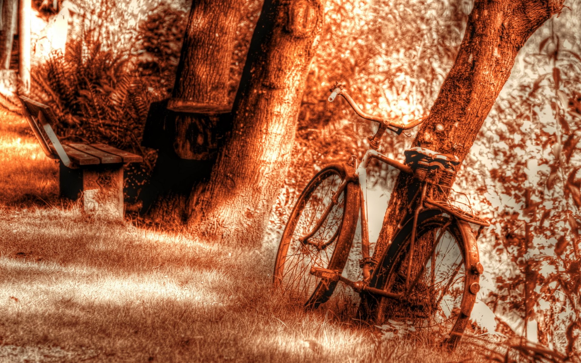 fahrrad bank baum hintergrund textur