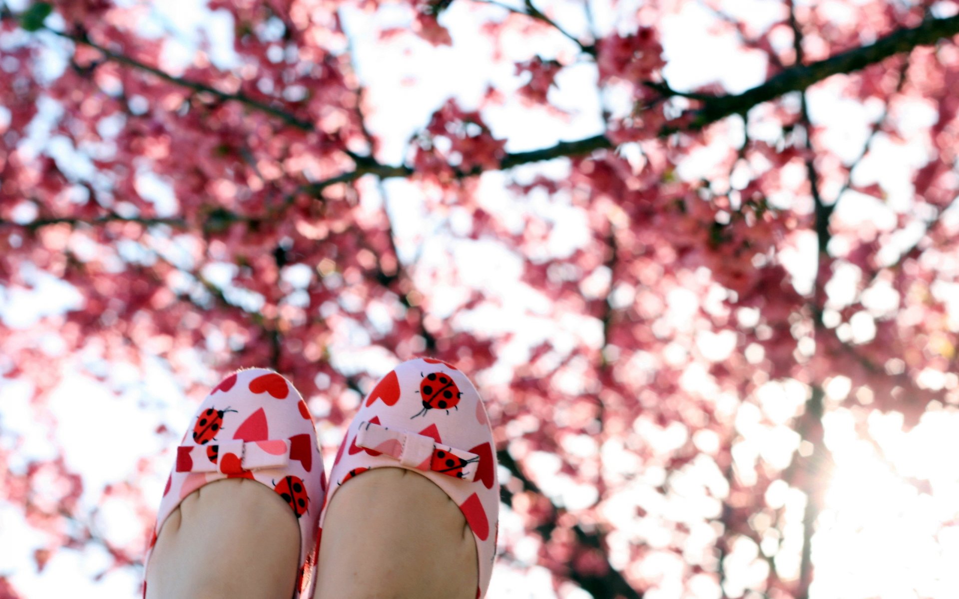 primavera jardín botas estado de ánimo