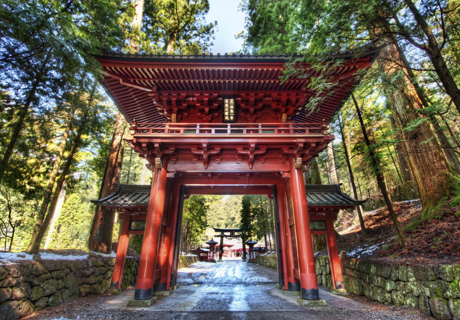 japonia nikko las