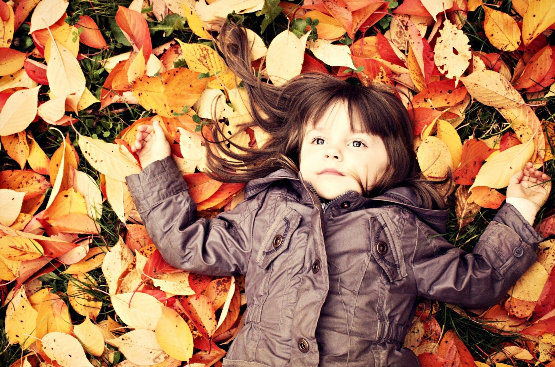 kind kind kleinkind mädchen herbst gefallene blätter