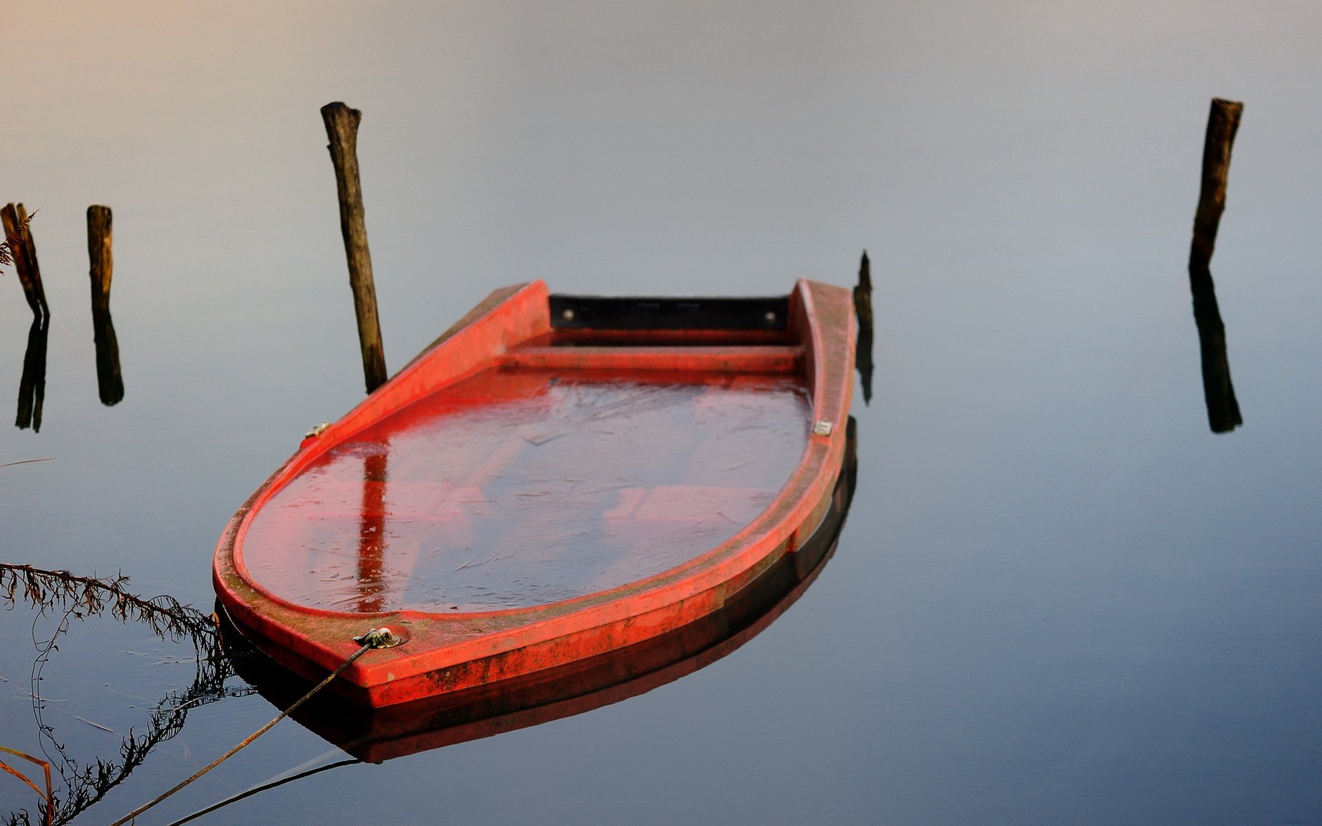 lago barco naturaleza