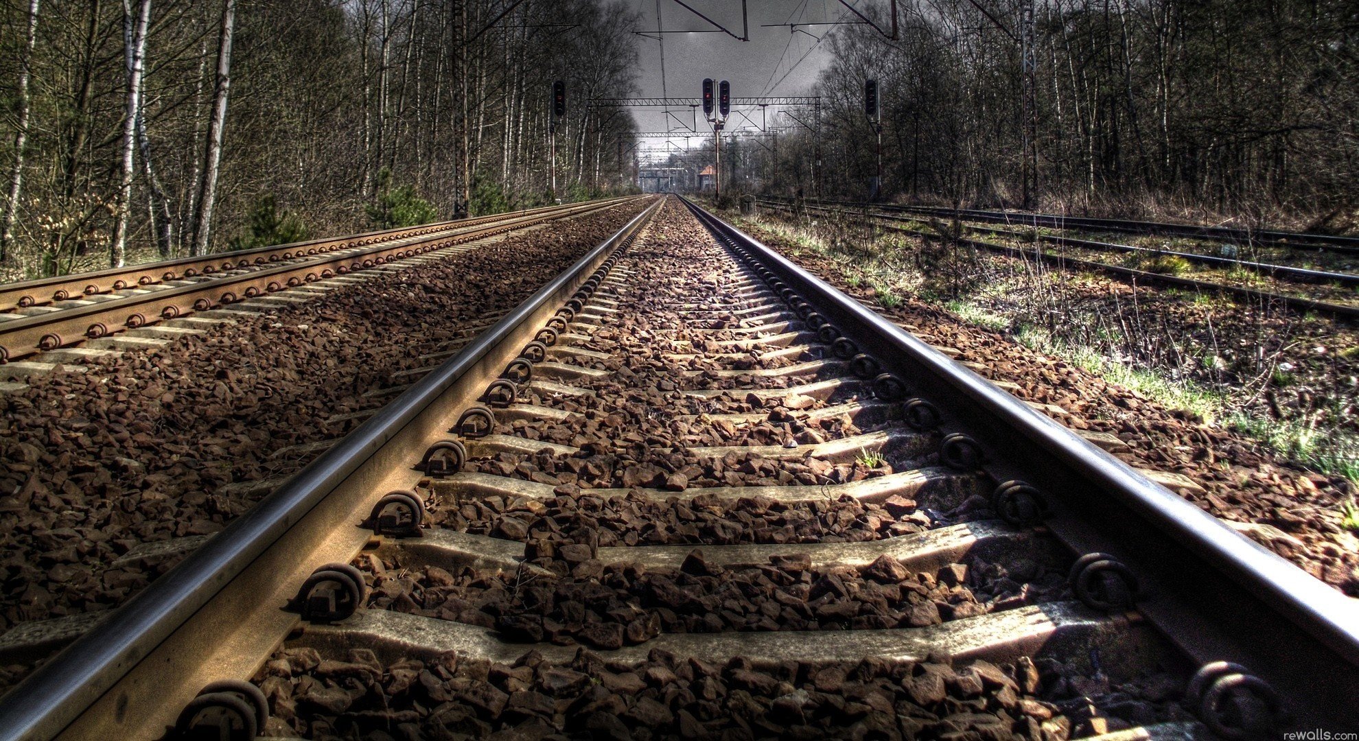 rails forêt ciel