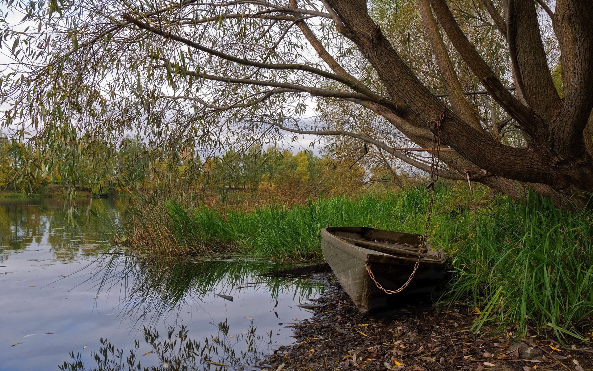 lac bateau nature