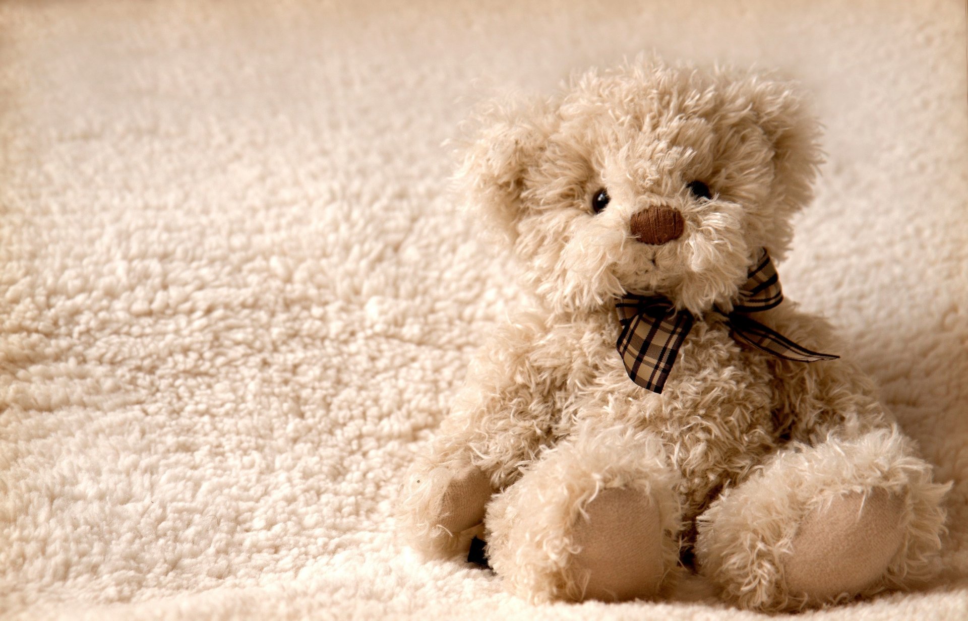 teddy teddy bear toy teddy bear