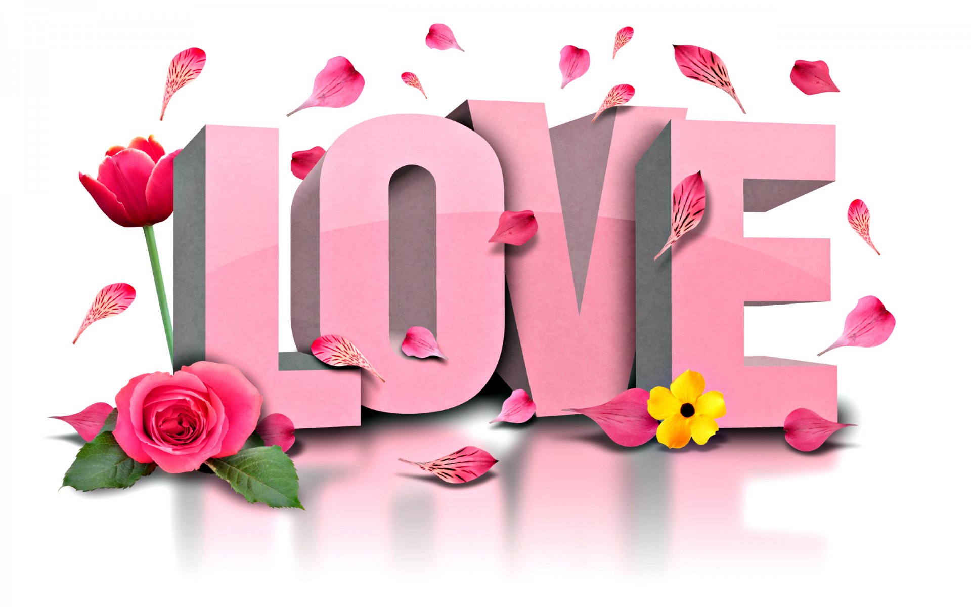 love flowers flower rose tulip petal