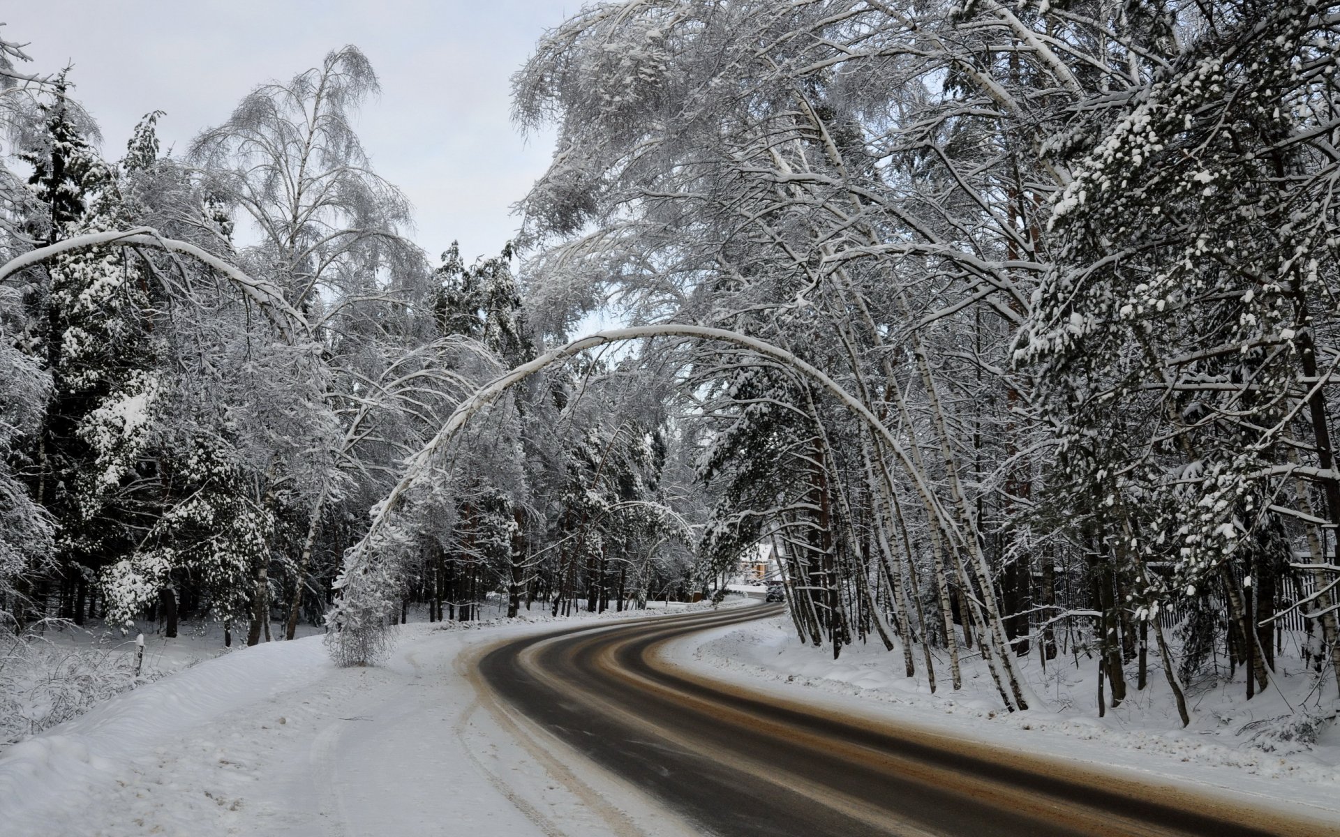 invierno carretera bosque