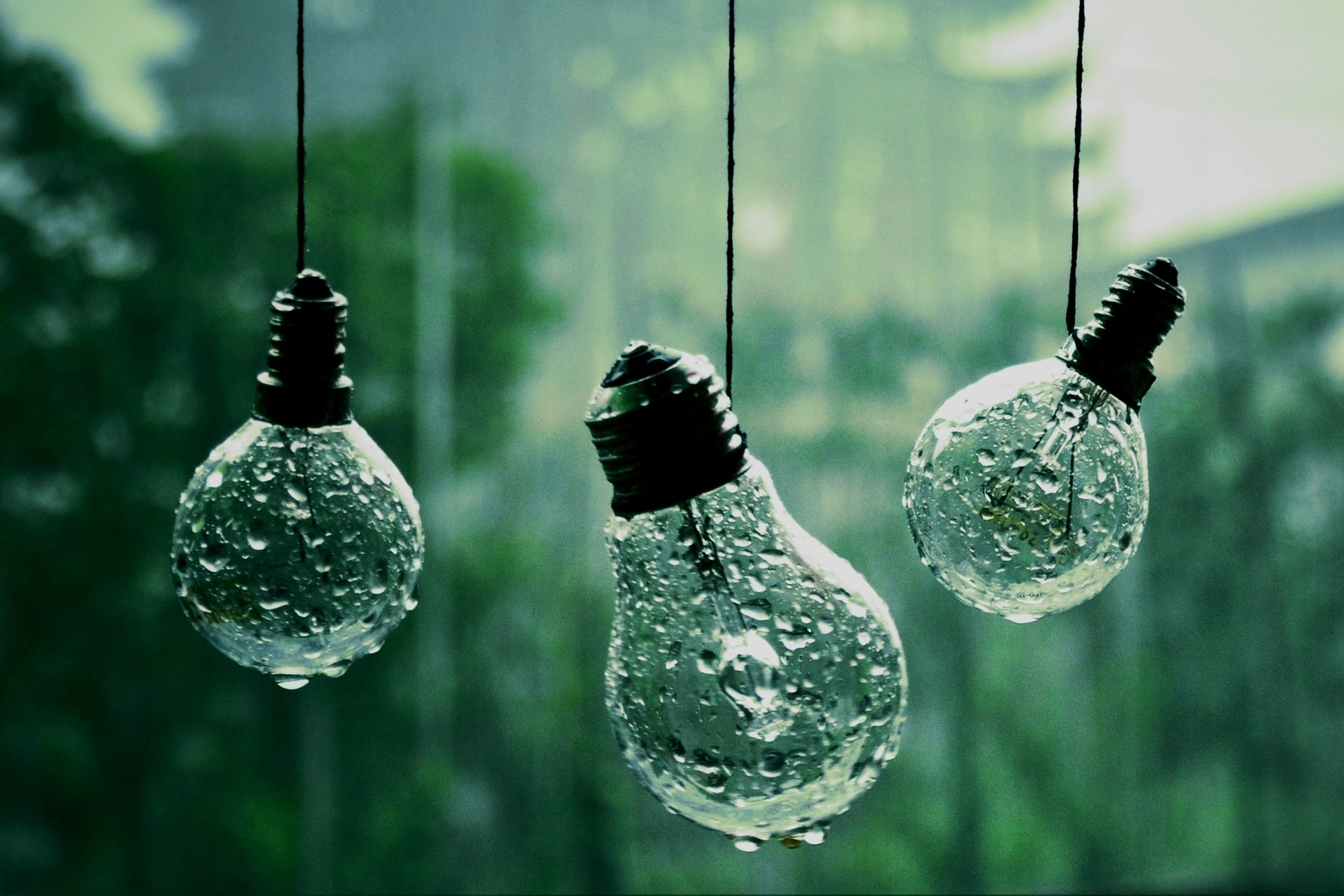 foto varios cuerdas bombillas lluvia gotas macro fondo papel pintado