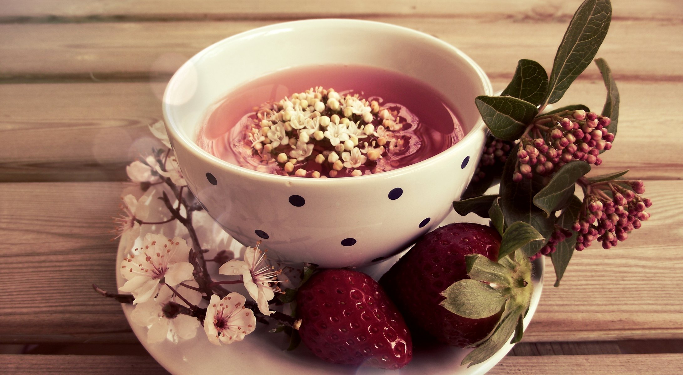 tasse untertasse erdbeere blumen blätter