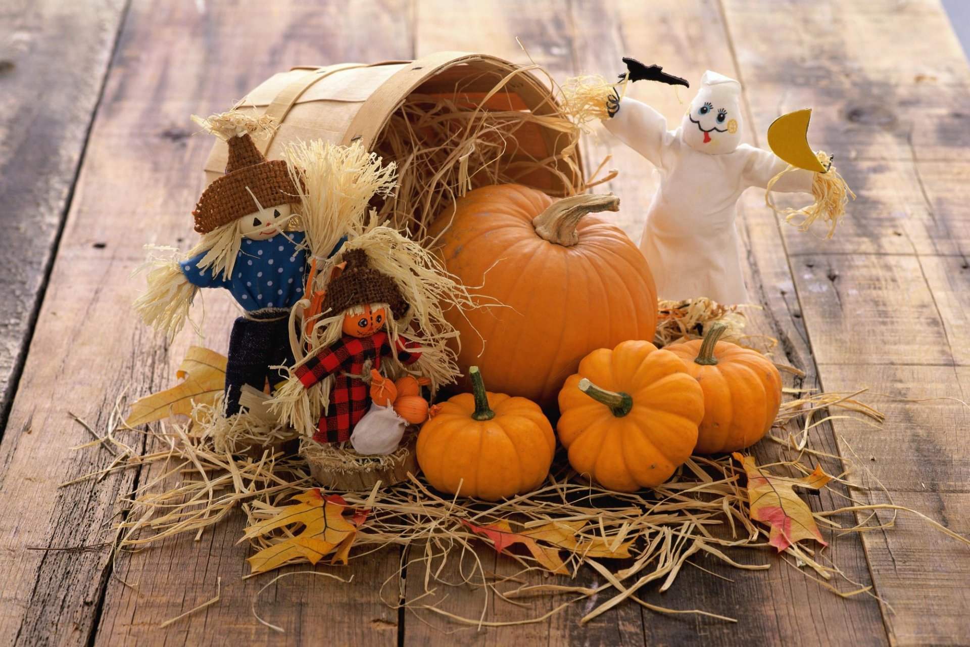 citrouilles légumes automne jouets paille panier planches