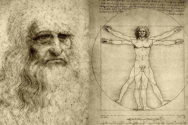 Vitruvian man leonardo da vinci drawing wallpaper